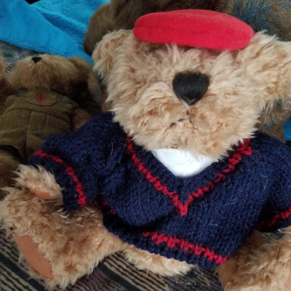 Dress up bear tully